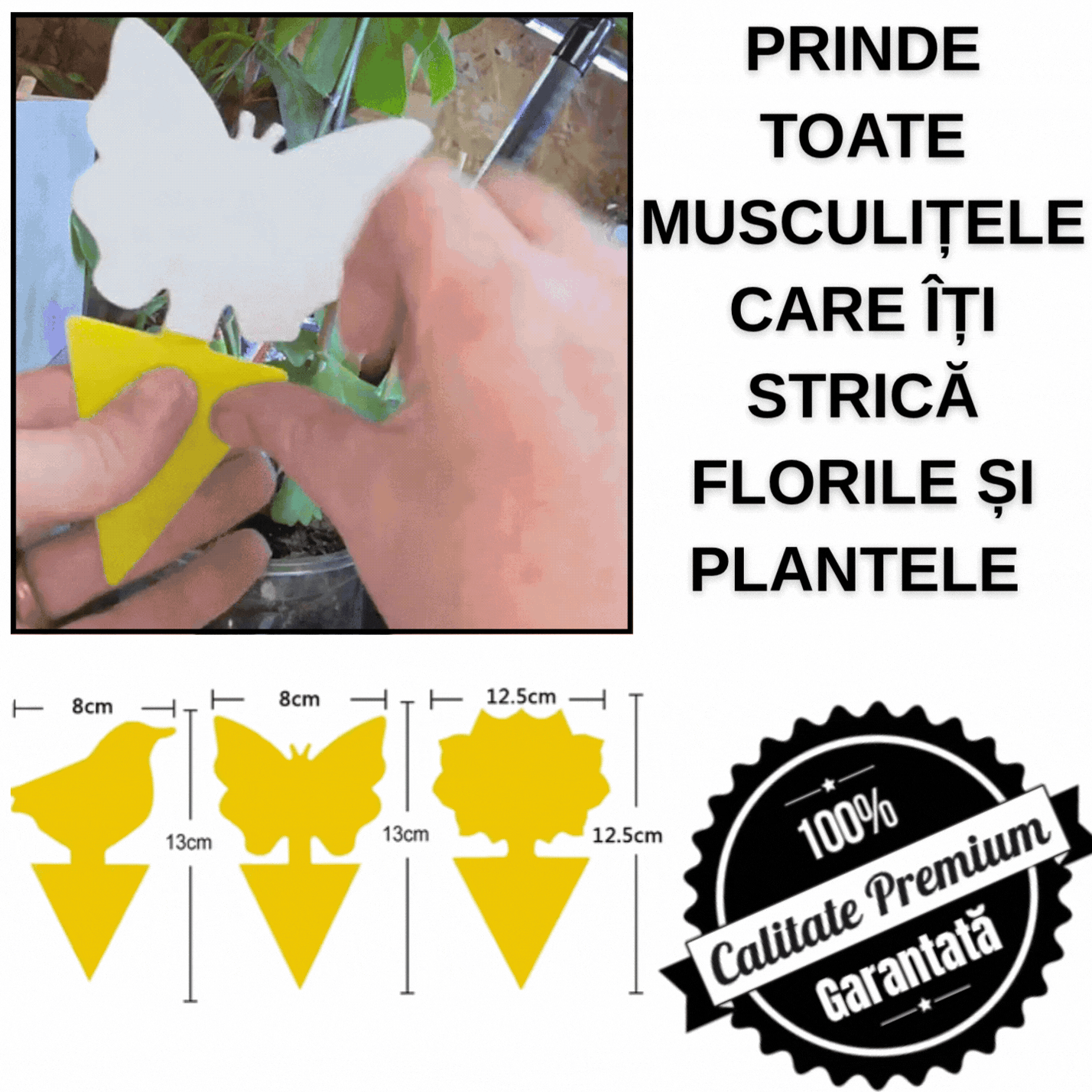 BugTrap™ — Capcane Decorative Fără Chimicale